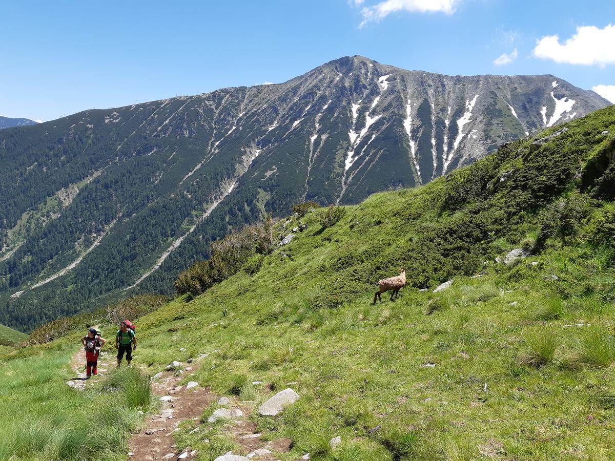 La Pierre Apartments Bansko Buitenkant foto